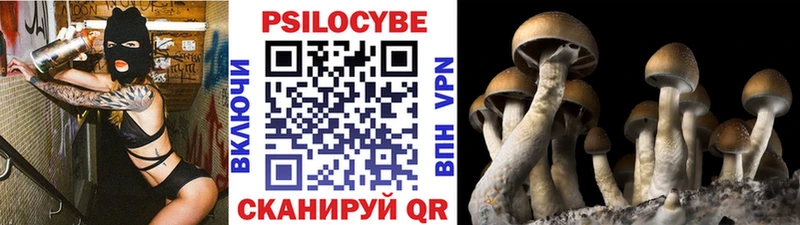 хочу наркоту  Удомля  Псилоцибиновые грибы мицелий 
